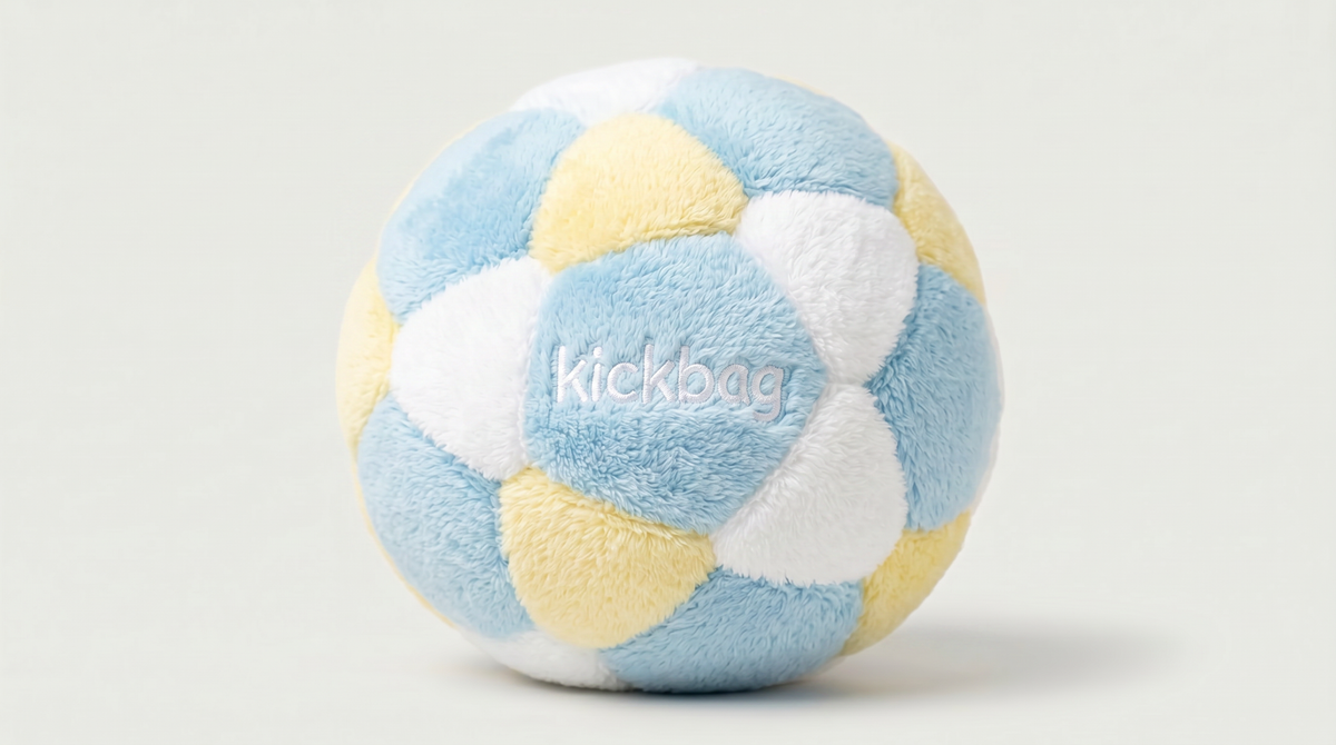 Argentina World Cup Stich Sack